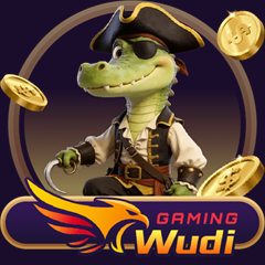 Wudi Gaming